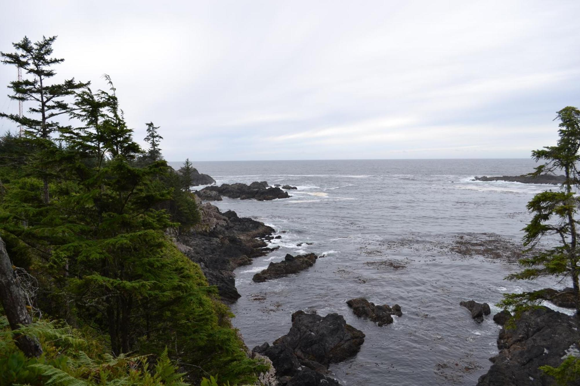 Easy On The Edge Holiday home Ucluelet